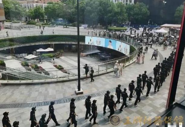 出国时携带保镖有什么用？