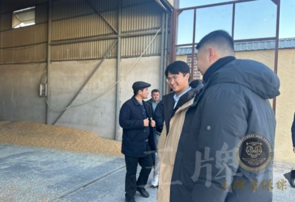 雇佣专业保镖需要多少钱？