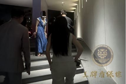 网红遭遇网暴威胁，雇佣王牌盾保镖护安全